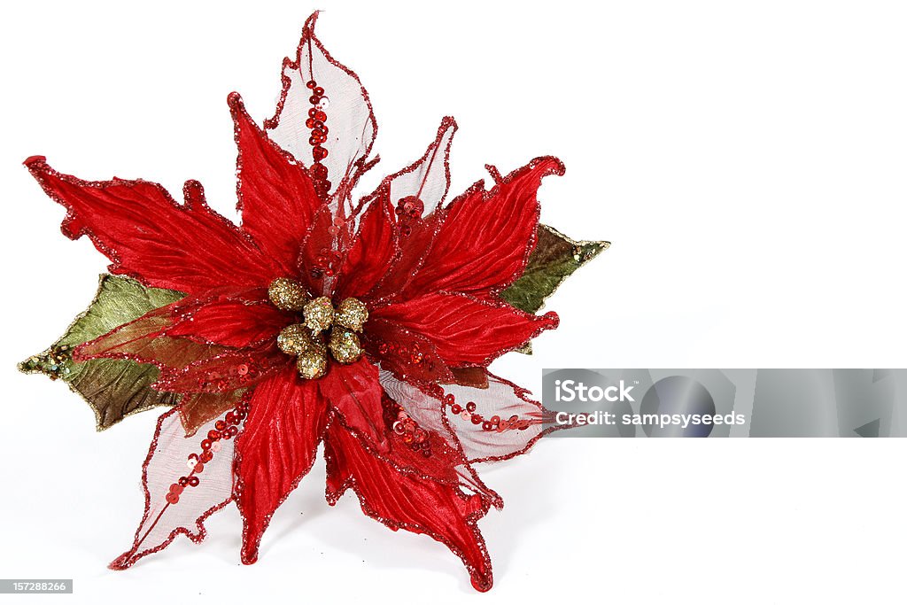 Stella di Natale Decorazione - Foto stock royalty-free di Fiore