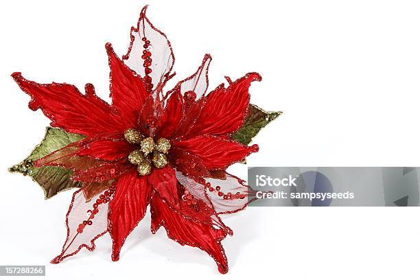 Foto de Decoração De Poinsettia e mais fotos de stock de Bico-de-Papagaio - Bico-de-Papagaio, Flor, Fundo Branco