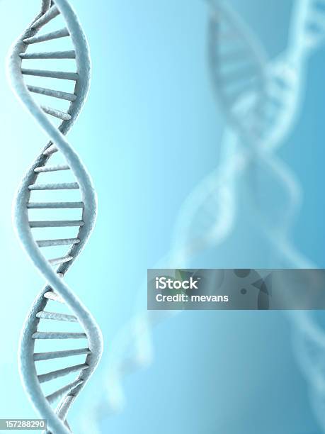 가닥 Dna DNA에 대한 스톡 사진 및 기타 이미지 - DNA, 건강관리와 의술, 과학