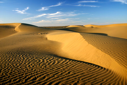 Sand dunes in the Thar desert in Rajasthan, India.
