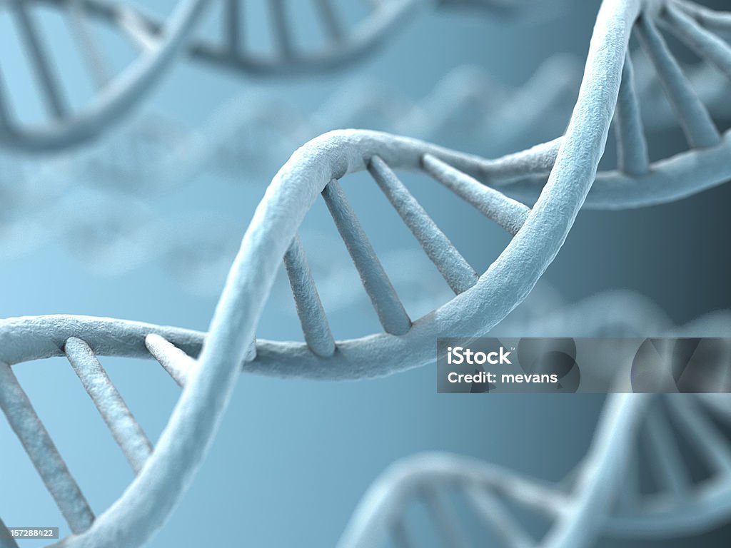 DNA Strands - Foto de stock de DNA royalty-free