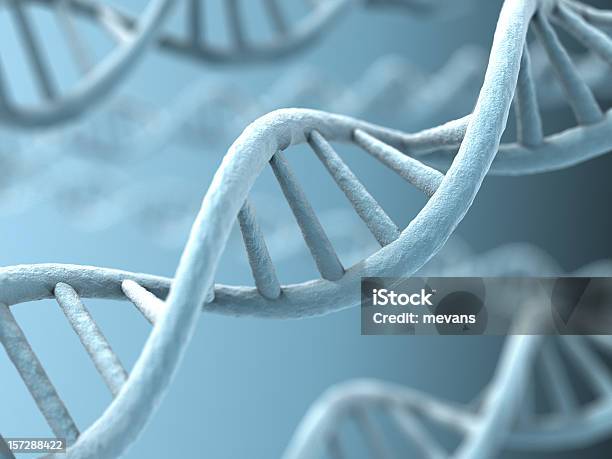 Foto de Dna Strands e mais fotos de stock de DNA - DNA, Hélice - Formas Geométricas, Pesquisa Genética