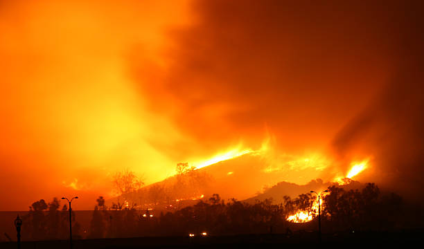 Escova de incêndio - foto de acervo