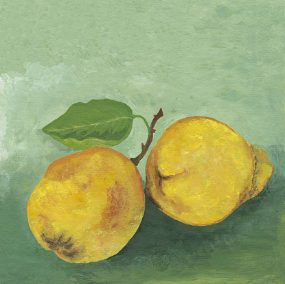 Two quinces, my oil painted art work, scanned. The green background i a perfect copy space. I am the owner of the copyright.