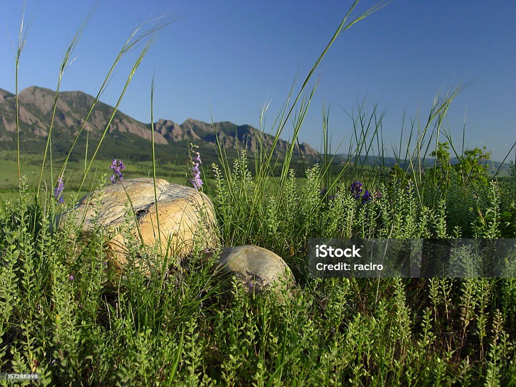 Rocce e le montagne - Foto stock royalty-free di Ambientazione esterna