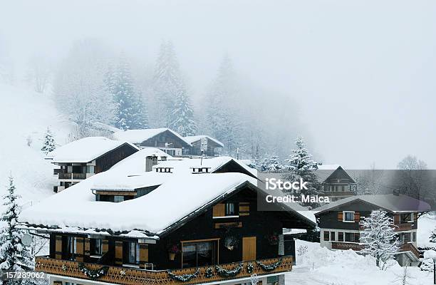 Inverno Nebbia - Fotografie stock e altre immagini di Abete - Abete, Albero, Alpi