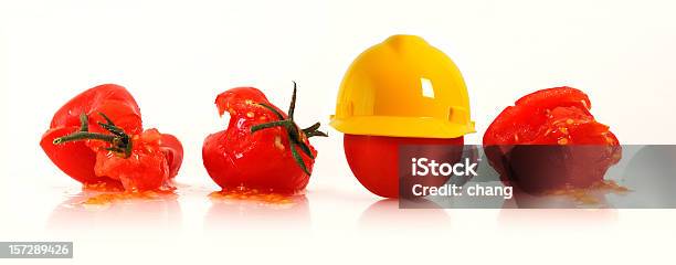 Tomatoesprotection - Fotografias de stock e mais imagens de Comida - Comida, Segurança, Capacete