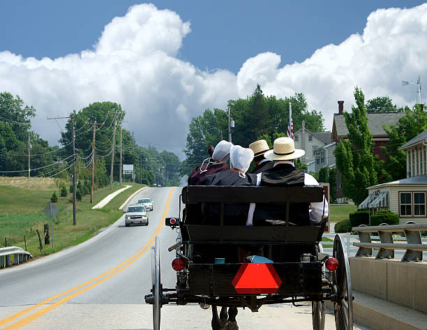Amish Courting Buggy This open buggy appears to be heading right into a storm. Lancaster County, PA.   amish photos stock pictures, royalty-free photos & images