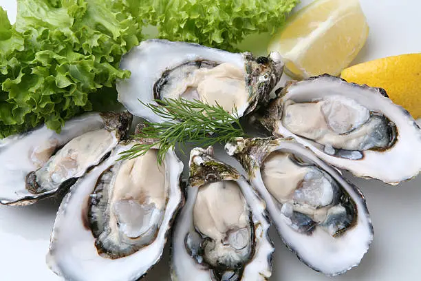 Photo of Oysters on white plate
