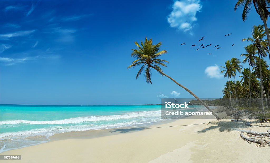 virgin Tropical playa de arena blanca - Foto de stock de Bahamas libre de derechos