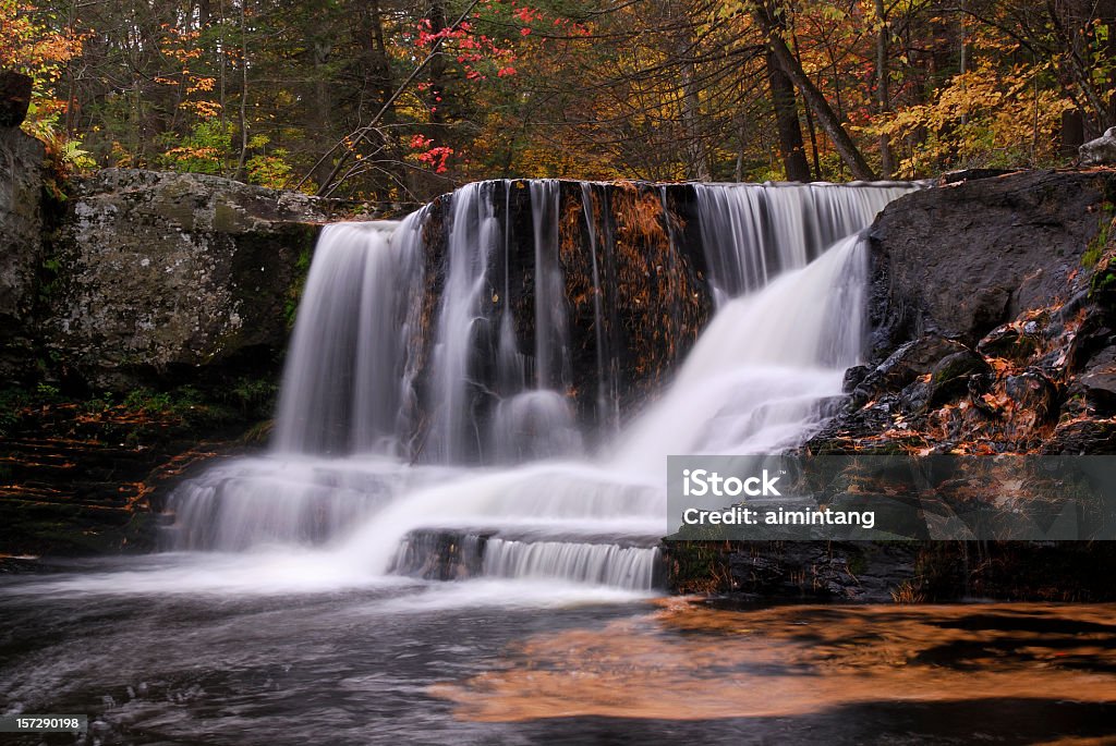 Usine Falls 2 - Photo de Parc de Delaware Water Gap libre de droits