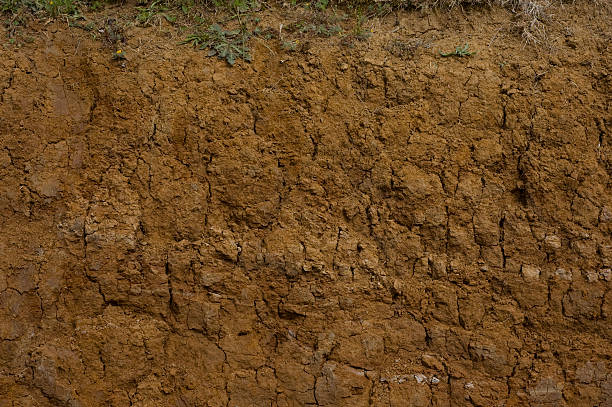 Muddy Cross Section Close-up Close-up showing a deep cross-section of soil. low section stock pictures, royalty-free photos & images