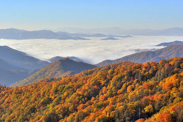 smokey magnífica vista de las montañas - great smoky mountains great smoky mountains national park leaf autumn fotografías e imágenes de stock