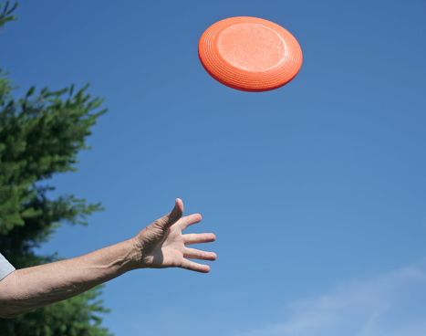 The hand is ready to catch an orange frisbee. Here are some other frisbee photos.