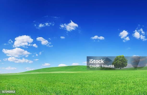Landschaft Siehe Beschreibung Stockfoto und mehr Bilder von Anhöhe - Anhöhe, Baum, Blau