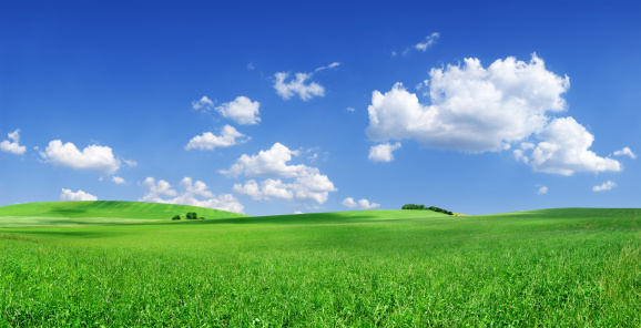 Green grass field and blue sky with cumulus clouds. Summer landscape background