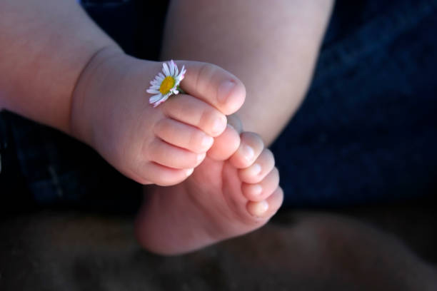 istock Baby Feet Holding Daisy 157292161