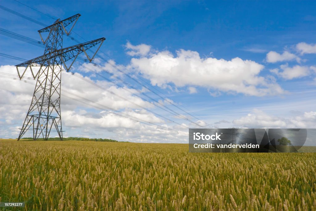 Linhas de energia na maturação de Trigo - Royalty-free Ao Ar Livre Foto de stock