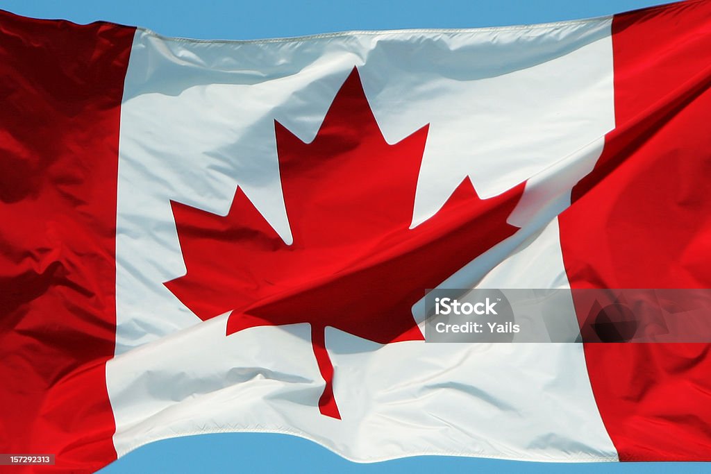 Bandera canadiense - Foto de stock de Bandera canadiense libre de derechos