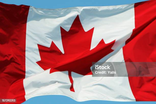 Bandera Canadiense Foto de stock y más banco de imágenes de Bandera canadiense - Bandera canadiense, Arce, Bandera