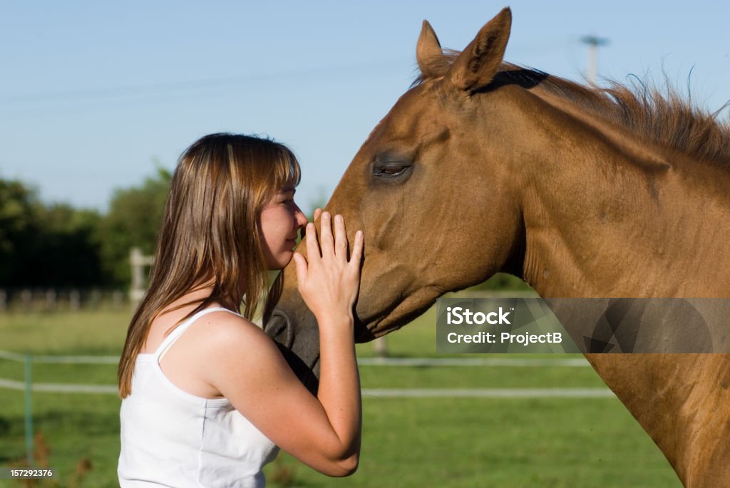 Frauen, die zur thoroughbred Horse - Lizenzfrei Angesicht zu Angesicht Stock-Foto