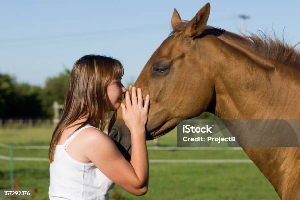 Frauen Die Zur Thoroughbred Horse Stockfoto und mehr Bilder von Angesicht zu Angesicht - Angesicht zu Angesicht, Arbeitstier, Arm umlegen