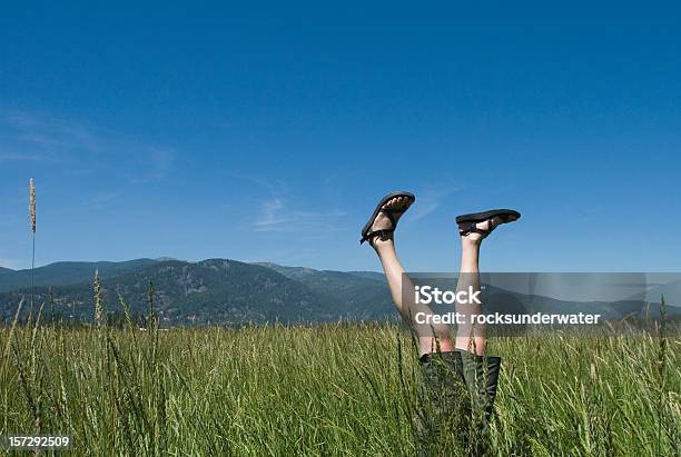 Photo libre de droit de Équilibre Sur La Tête banque d'images et plus d'images libres de droit de Sandales - Sandales, Humour, Nature