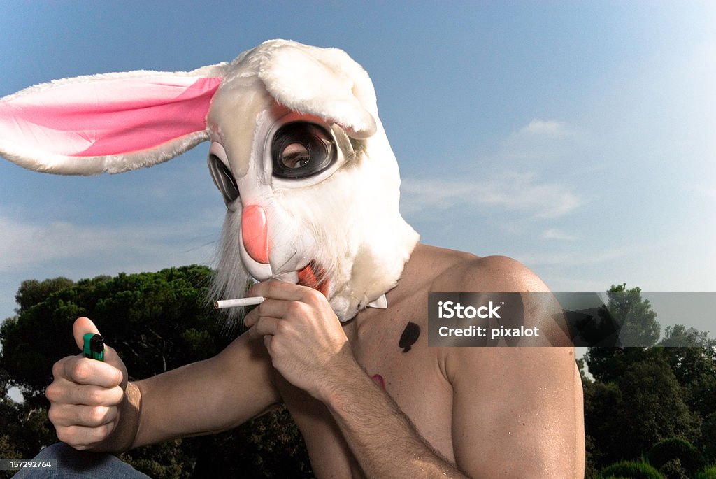 Espiègle lapin II - Photo de Cigarette libre de droits