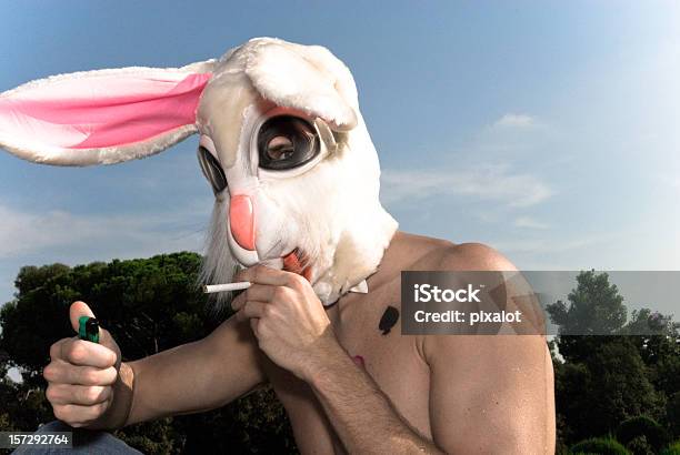 Foto de Naughty Coelho Ii e mais fotos de stock de Cigarro - Cigarro, Fantasia de orelhas de coelho, Figurino