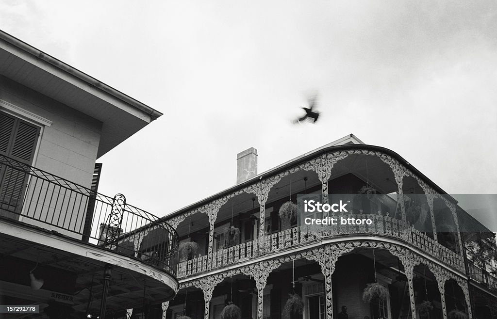 Oiseau quartier français - Photo de La Nouvelle-Orléans libre de droits