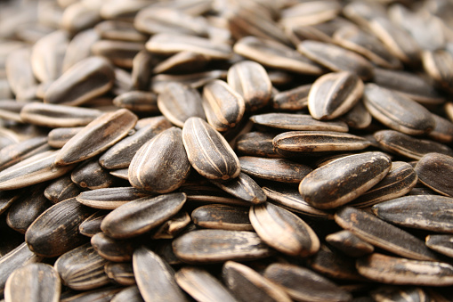Closeup view of sunflower seeds