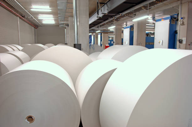 istock Rolls of printing paper 157293082