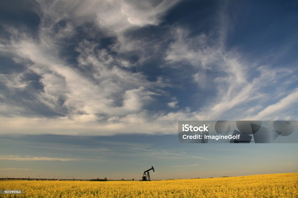 Pumpjack nas planícies - Foto de stock de Ajardinado royalty-free