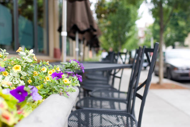 istock Al Fresco Dining Tables and Chairs with Flowers, Copy Space 157293204