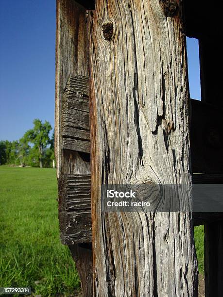 Vecchio Palo Di Legno - Fotografie stock e altre immagini di Blu - Blu, Ceppo, Cielo