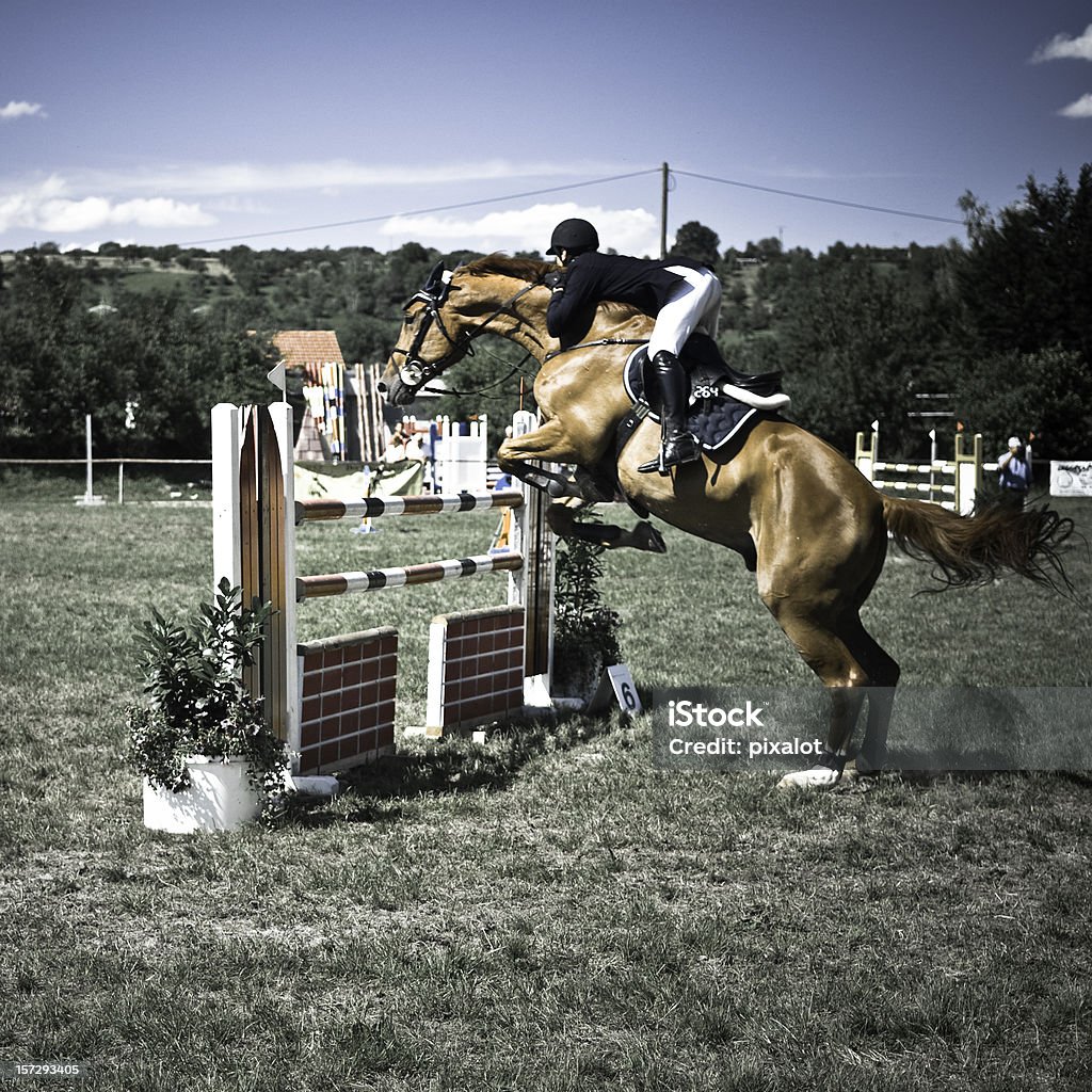 Salto ostacoli equestre - Foto stock royalty-free di Cavallo - Equino