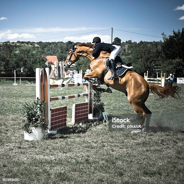 Salto Ostacoli Equestre - Fotografie stock e altre immagini di Cavallo - Equino - Cavallo - Equino, Corse siepi - Gara ippica, Ostacolo