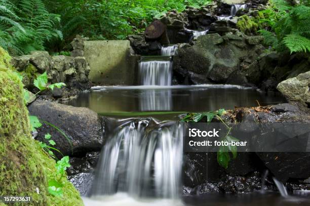 Foto de Cascata Cachoeira e mais fotos de stock de Abundância - Abundância, Arvoredo, Bosque - Floresta