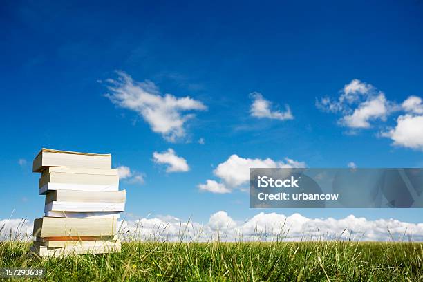 Stapel Bücher Stockfoto und mehr Bilder von Buch - Buch, Gras, Im Freien