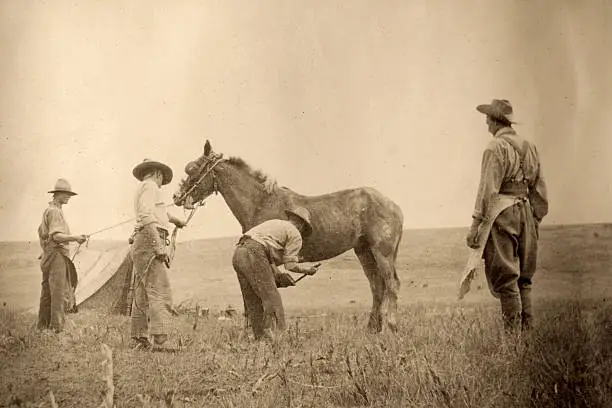 Photo of Cowboys