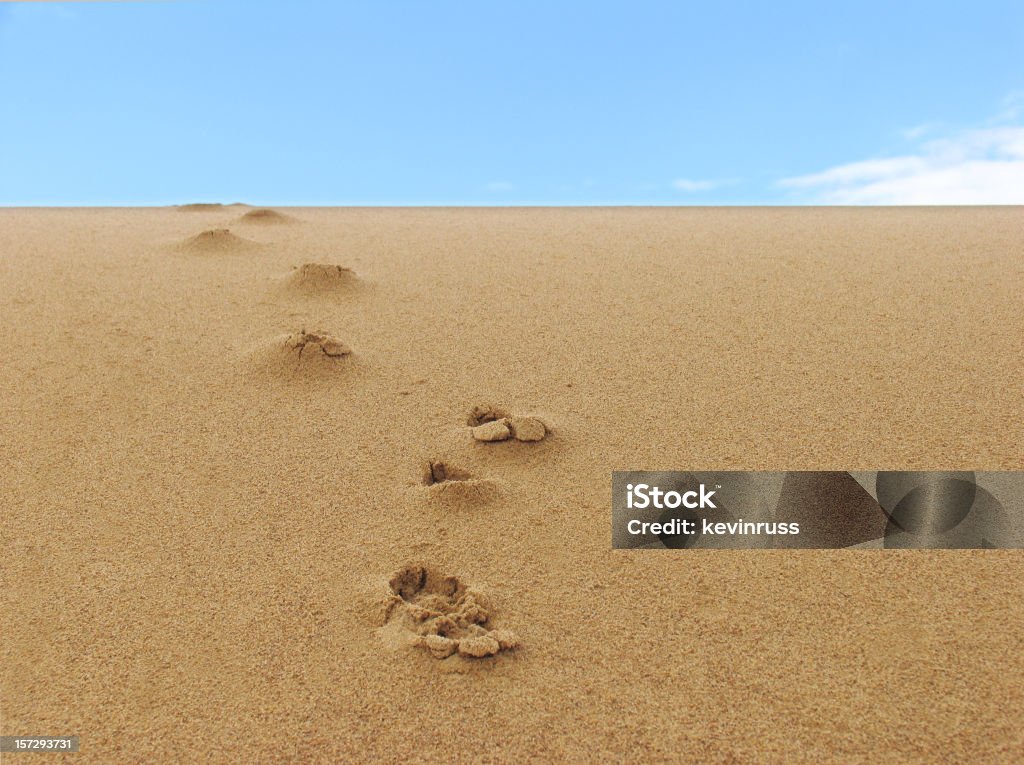 Footprints Los einer Sanddüne - Lizenzfrei Anhöhe Stock-Foto