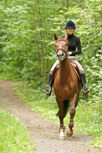 Little girl in protective jacket and helmet with her brown pony before riding Lesson. High quality photo