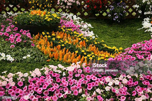 Garten Mit Blumen Stockfoto und mehr Bilder von Baumblüte - Baumblüte, Blume, Blumenbeet