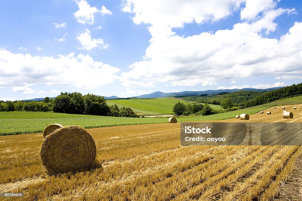 Hay Bale Paisagem - Royalty-free Agricultura Foto de stock