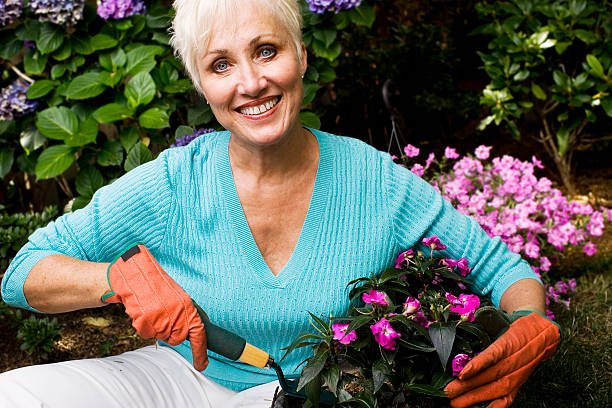 istock Active Senior Woman Gardening, Copy Space 157294219