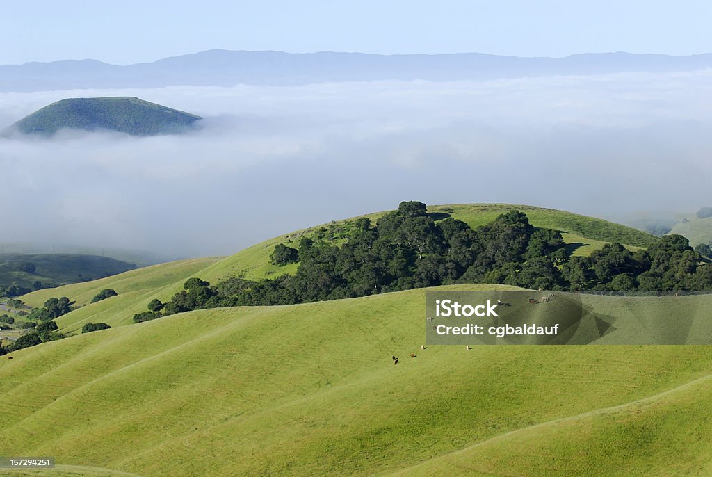 Perfekte Viehweide über den Wolken - Lizenzfrei Anhöhe Stock-Foto