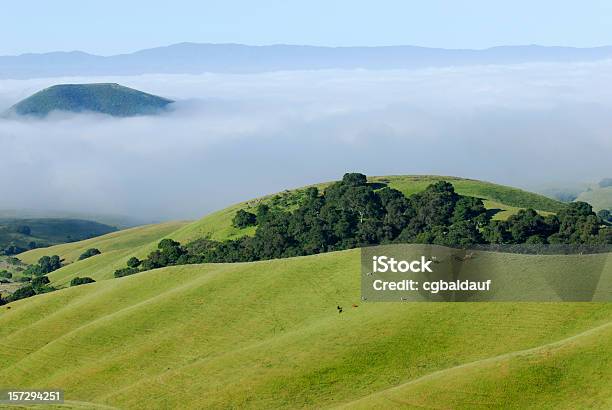 Perfekte Viehweide Über Den Wolken Stockfoto und mehr Bilder von Anhöhe - Anhöhe, Rollen, Grün