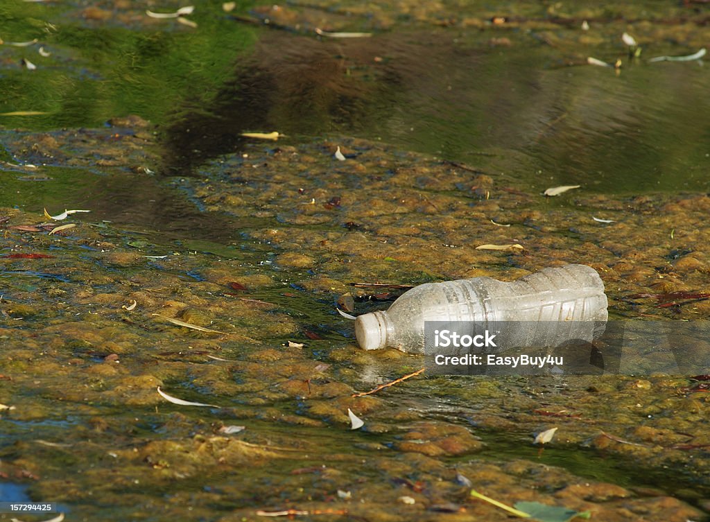 Загрязнение воды - Стоковые фото Река роялти-фри