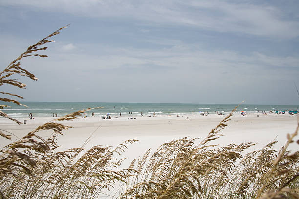 clearwater beach, florida - clearwater foto e immagini stock