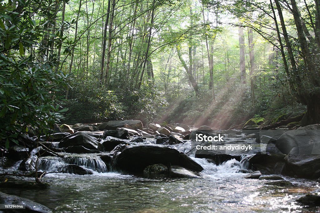 Rayo de sol de la mañana de corriente - Foto de stock de Aire libre libre de derechos